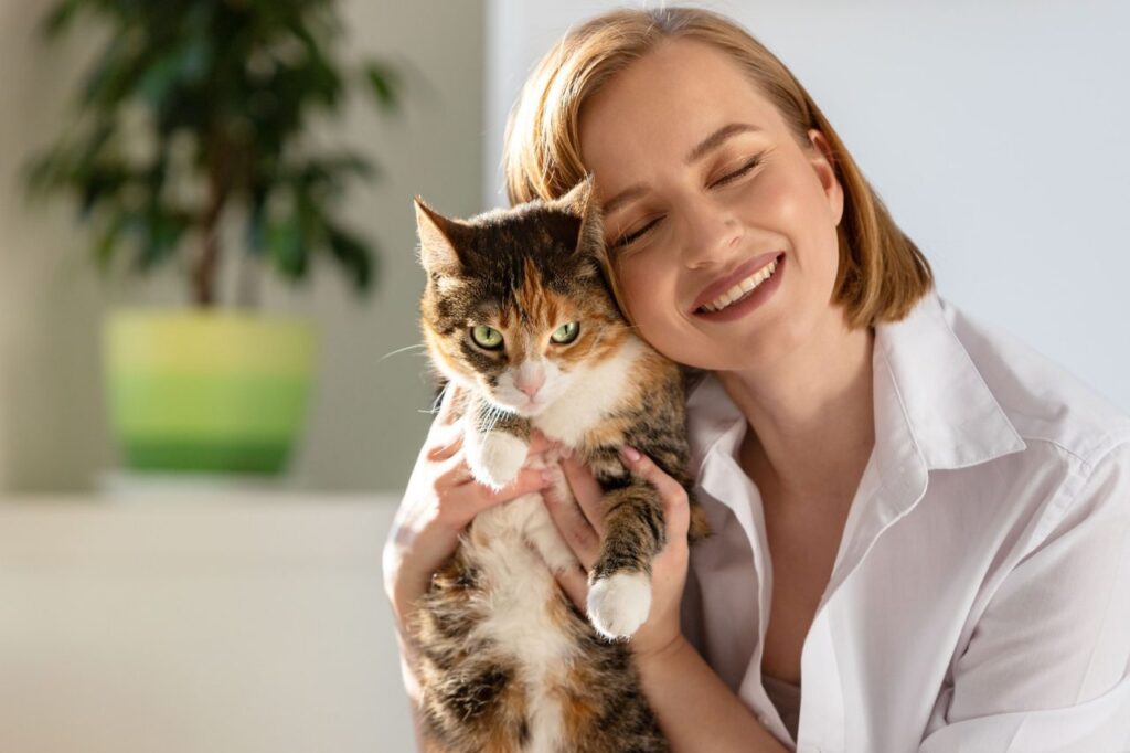 cat 1 Katzen - Kauf Aktionen