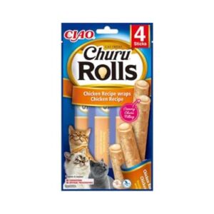Churu