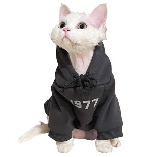 Katzenbody