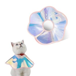 Katzenhalsband