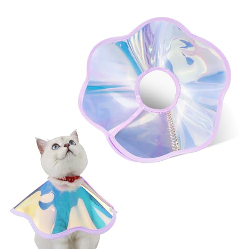 Katzenhalsband