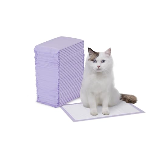 Katzenkloeinlagen