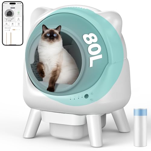 Katzenklo