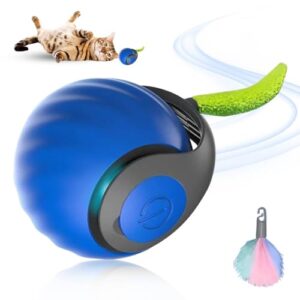 Katzenspielball