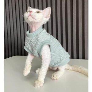 Katzenweste