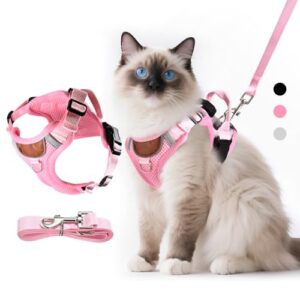 Katzengeschirr
