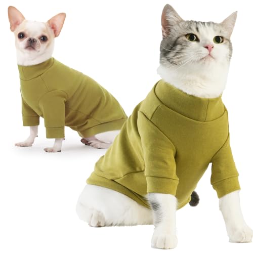 Sphynx Katzenpullover