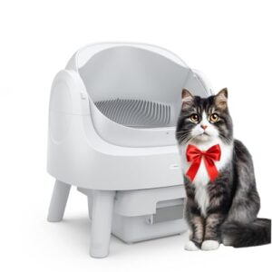 Katzentoilette