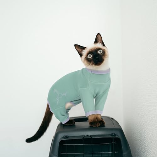 Katzenpullover Winter Kitten Kleidung XS Bohnen 6 Katzenpullover Winter Kitten Kleidung XS Bohnen - Image 6