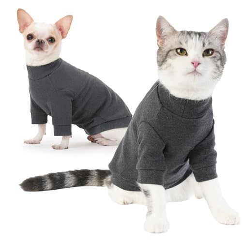 Sphynx Katzenpullover