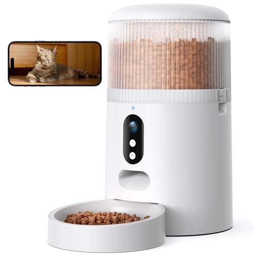 Futterautomat Katze