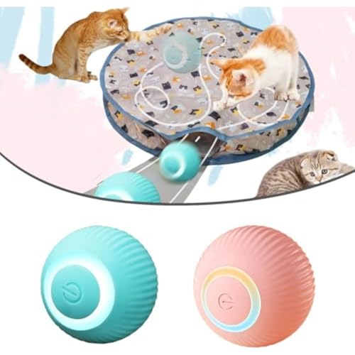 Katzen