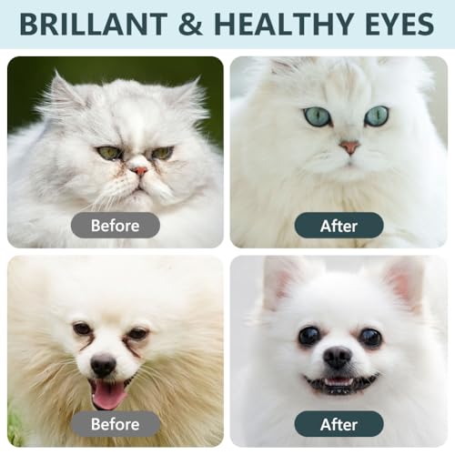 Aomig Augenpads für Hunde & Katzen 100 Stück 4 Aomig Augenpads für Hunde & Katzen 100 Stück - Image 4