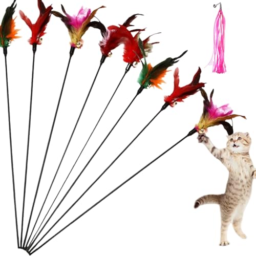 Katzenspielzeug