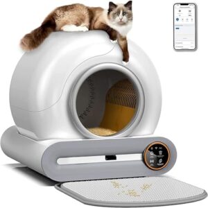 Katzenklo