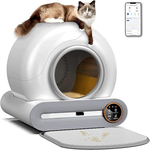 Katzenklo