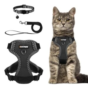 Katzengeschirr