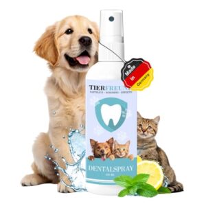 Dentalspray