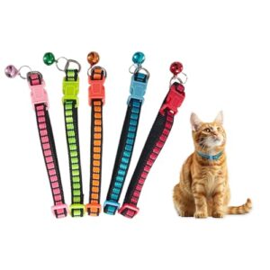 Katzenhalsband