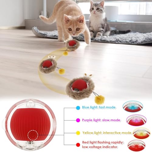 Katzen Spielteppich 2 in 1 mit Ball 6 Katzen Spielteppich 2 in 1 mit Ball - Image 6