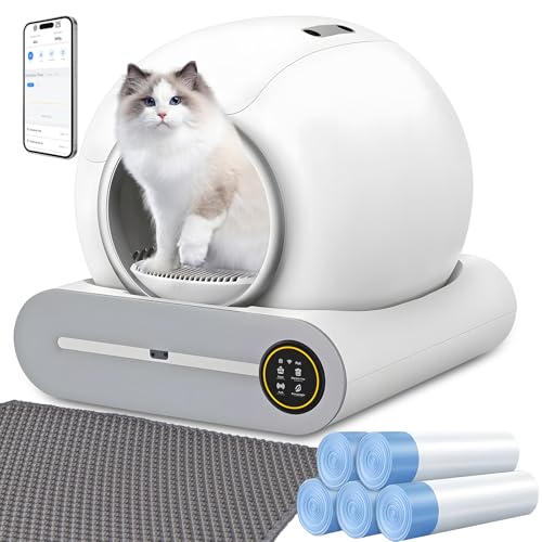 Katzentoilette