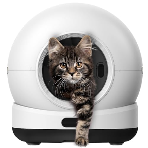 Katzenklo