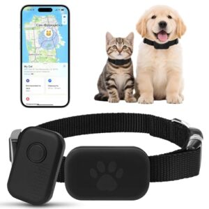 GPS Tracker