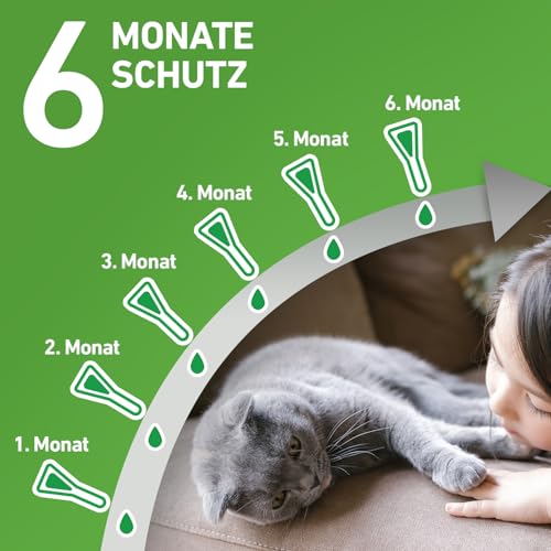 FRONTLINE Combo Katze gegen Flöhe, Zecken, Haarlinge 4 FRONTLINE Combo Katze gegen Flöhe, Zecken, Haarlinge - Image 4