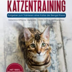 Katzentraining