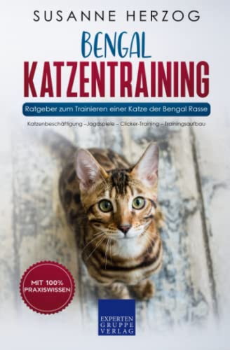 Katzentraining