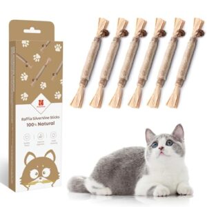 Katzenminze
