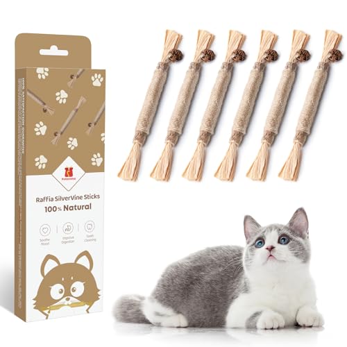 Katzenminze