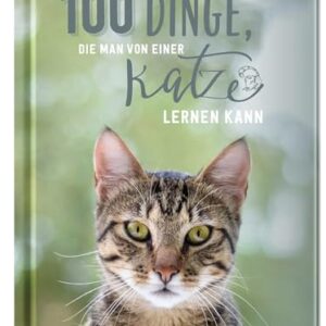 Dinge, die Katzen uns lehren