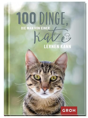 Dinge, die Katzen uns lehren