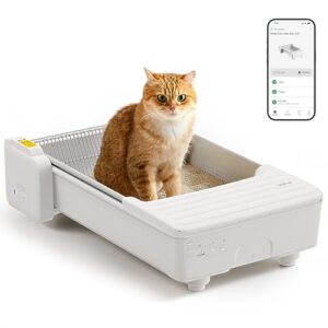 Katzentoilette