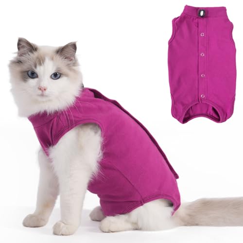 Katzen-Genesungsanzug