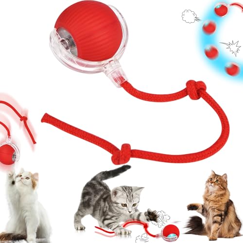 Katzenball