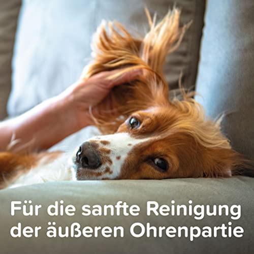 Beaphar Sensitiv Ohrenreiniger für Hunde & Katzen 5 Beaphar Sensitiv Ohrenreiniger für Hunde & Katzen - Image 5
