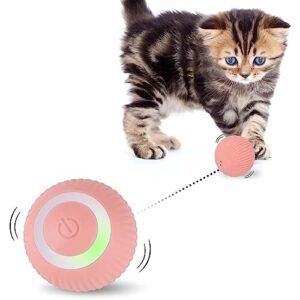 Katzenball