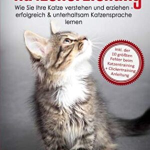 Katzenerziehung