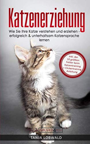 Katzenerziehung