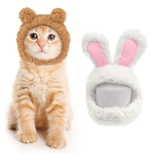 Lustiges Katzen-Outfit