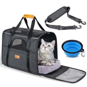 Katzenbox