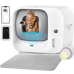 Selbstreinigende Katzentoilette