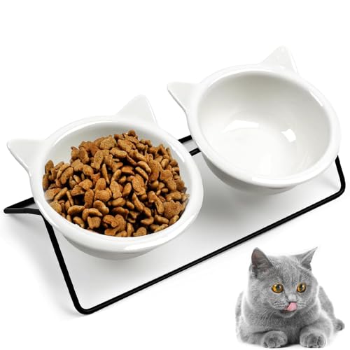 Futternapf