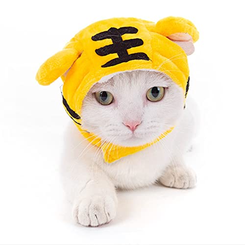 Katzenmütze