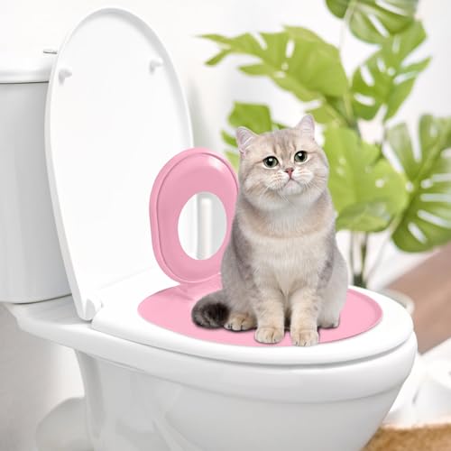 Katzentoilette