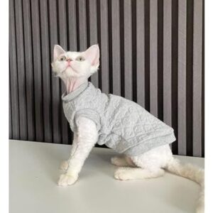 Katzenbekleidung