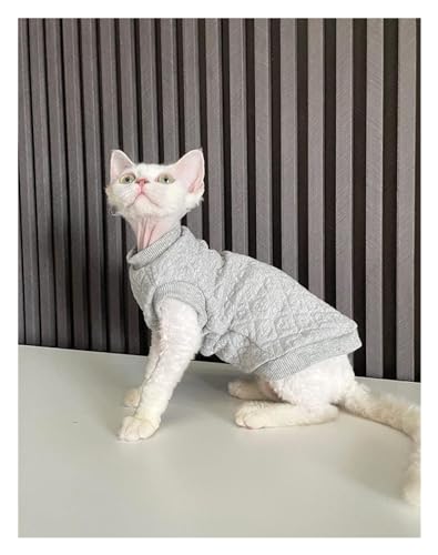 Katzenbekleidung