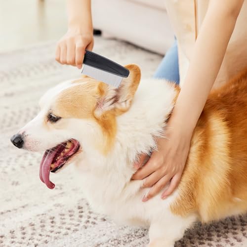Flohkamm für Katzen und Hunde, rostfreier Stahl 6 Flohkamm für Katzen und Hunde, rostfreier Stahl - Image 6